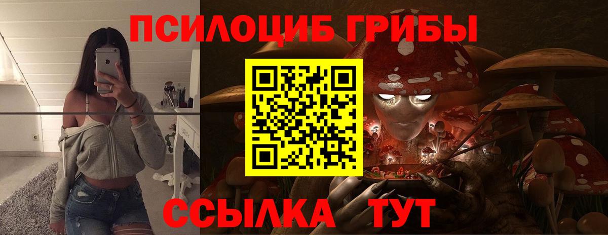 Клин  Галлюциногенные грибы Psilocybe  Вход с VPN 