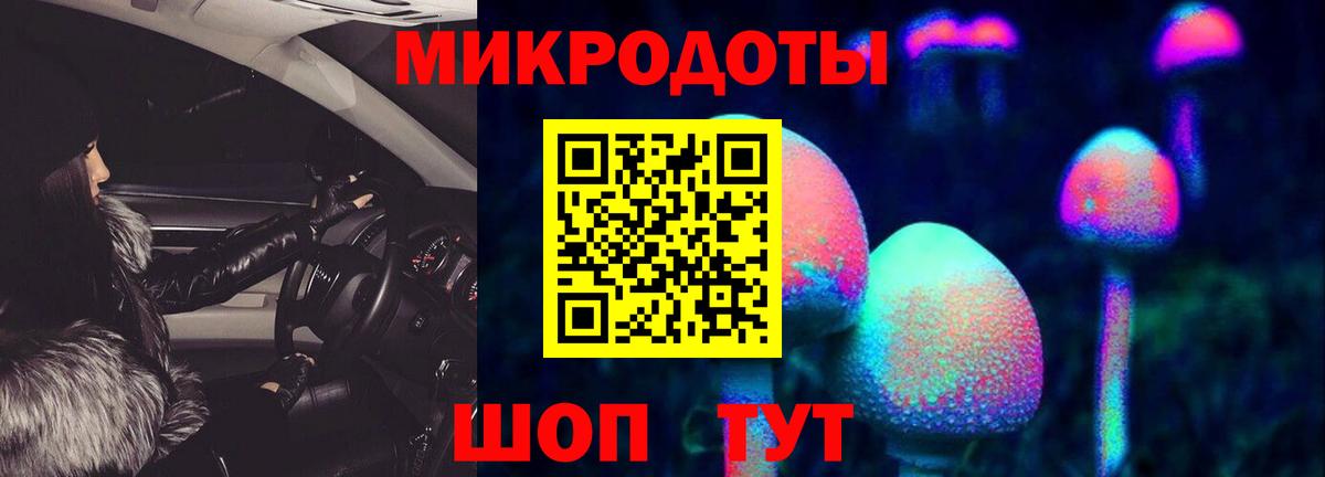 Галлюциногенные грибы Psilocybe Клин